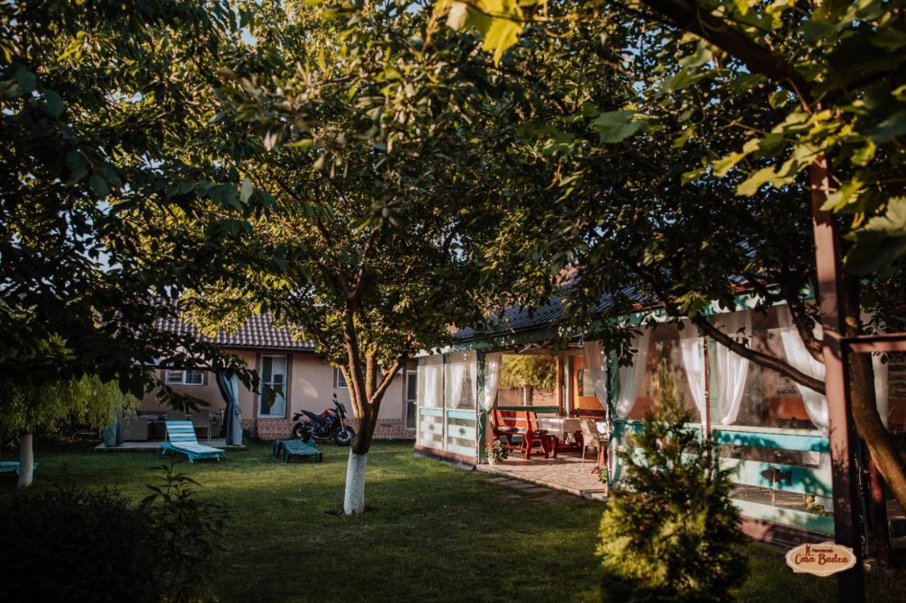Casa Badea Hotel Murighiol Kültér fotó