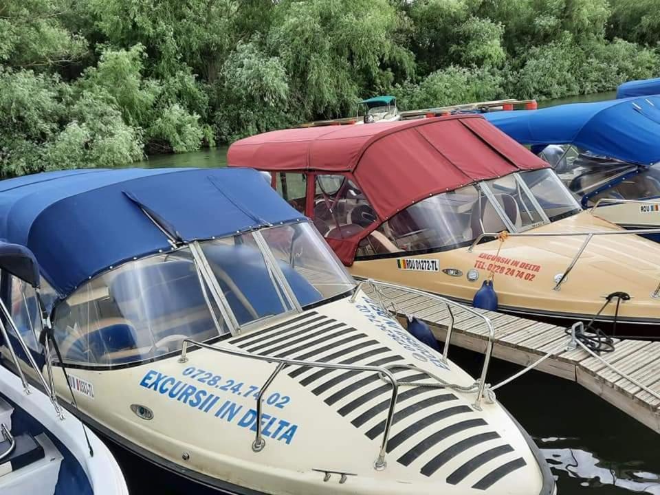 Casa Badea Hotel Murighiol Kültér fotó